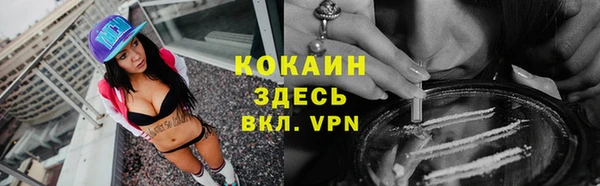 прущие грибы Алексин