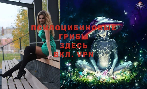 скорость Алексеевка